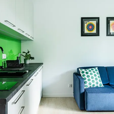 Lion - Chopina 29 With Parking 5 Min From The And Center アパート ソポト